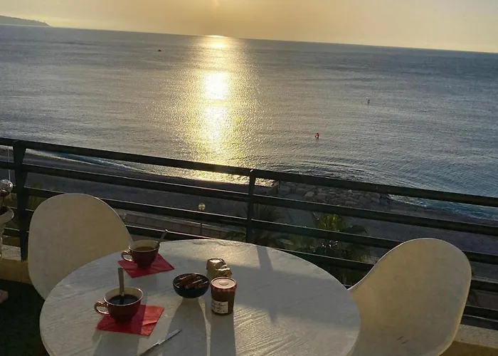 Baie Des Anges Promenade Des 公寓 尼斯